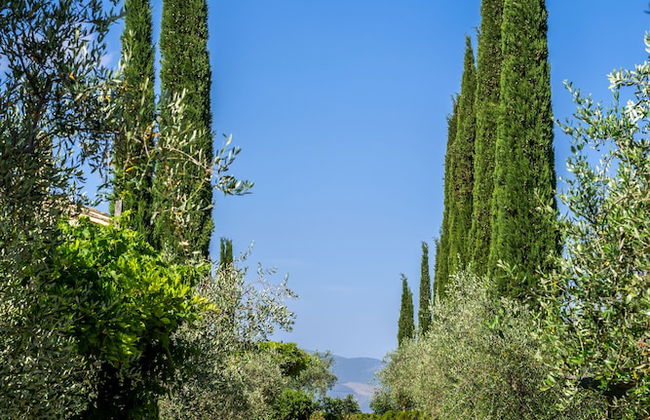 Agriturismo La Fonte - Photo 62