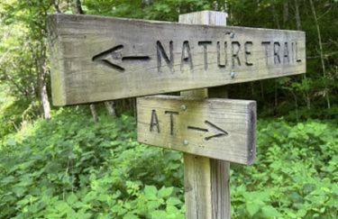 Timber Ridge Retreat - Foto 47