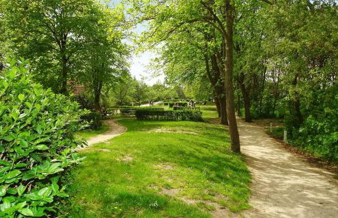 Seeschwalbe - Foto 29