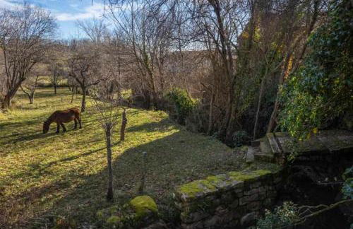 La Casa Del Manco - Foto 7