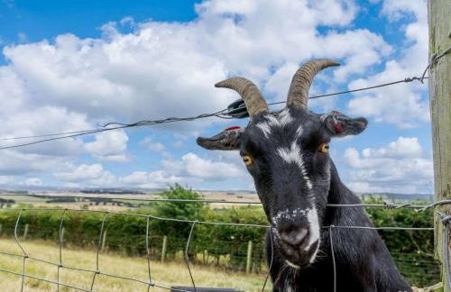 3 Bed in St. Andrews oc-88545 - Foto 14