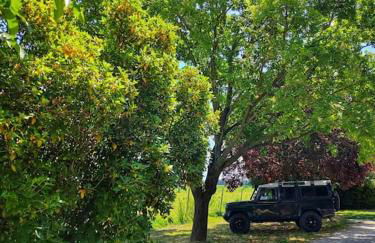 Antico Fienile - Foto 21