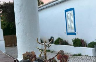 Monte das Estrelas - Foto 11