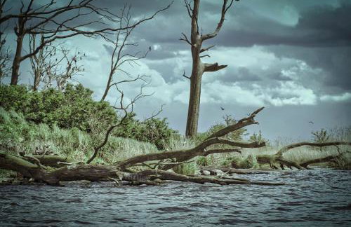 CICHAta Nad Zatoką - Foto 24