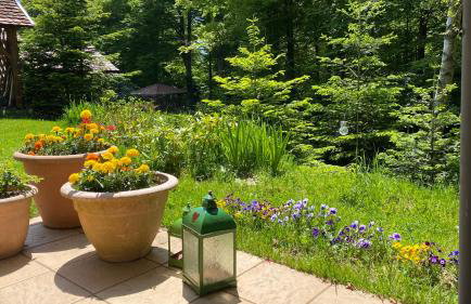 Apartments Montana - Foto 18