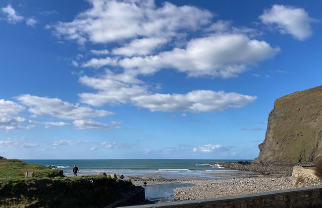 1 Bed 17th Century Stone Cottage in Rural Devon - Foto 33