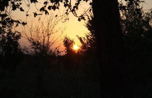 Casa dei Girasoli - Foto 33