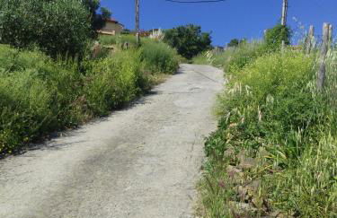 Perla sul mare con piscina - Foto 39