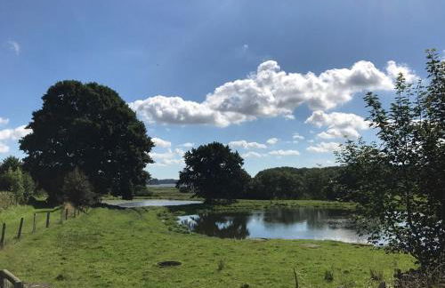 Schleiglanz - Foto 25