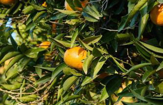 Sweet Cottage In The City - Foto 28