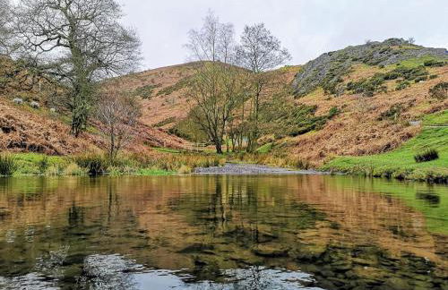 Romantic Cottage with Wood-fired Hot tub and Outdoor Pizza Oven - Foto 39