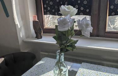 Kleine Sonnenstrahl-Oase - Photo 15