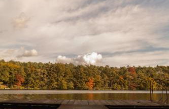 Jemioła Chaty Niedźwiady Małe - Foto 34