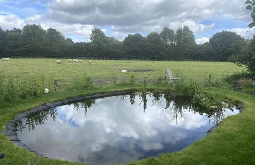 Charming artist’s cottage - Foto 57