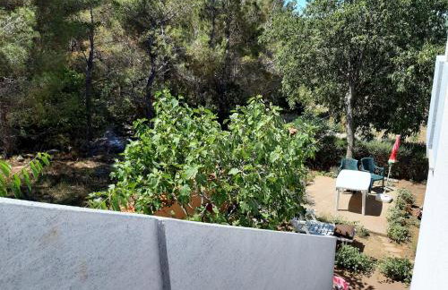 Apartmani Ivan - Foto 26