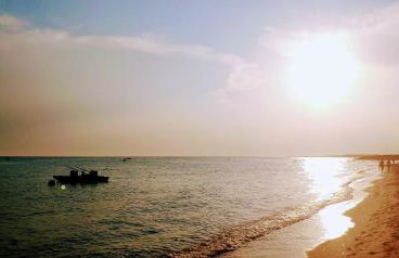 Grande Bilocale con giardino - Foto 22