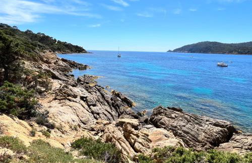 La roche aux mouettes Ile du Levant - Foto 22