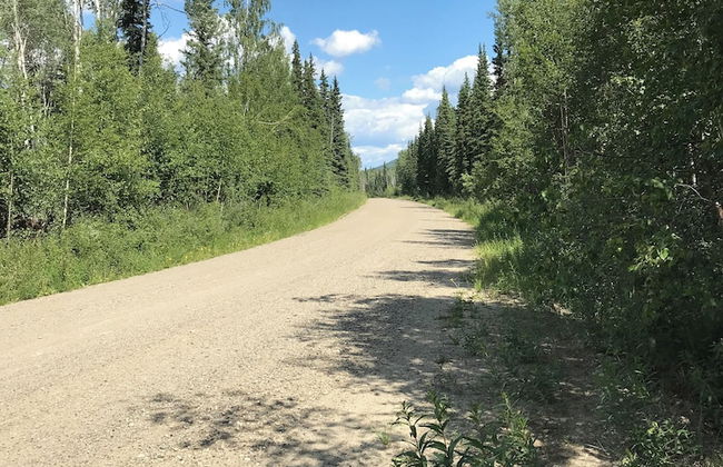 Arctic Homestead - Foto 11