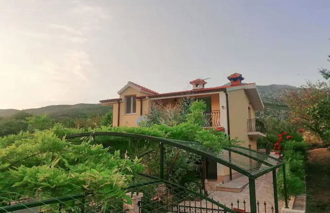 House of Green Experience - Foto 50