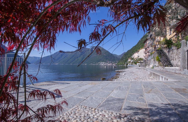 Colonno Panoramica - Photo 18