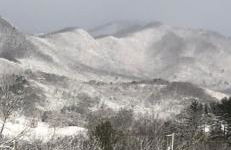 Maple Street Overlook - Foto 10