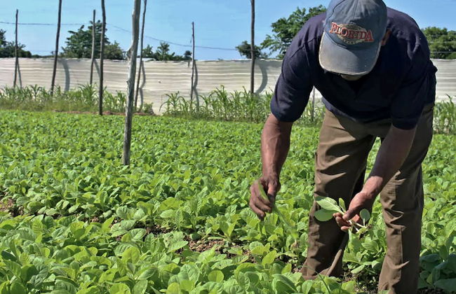 Villa in San Luis with garden and terrace - Foto 30