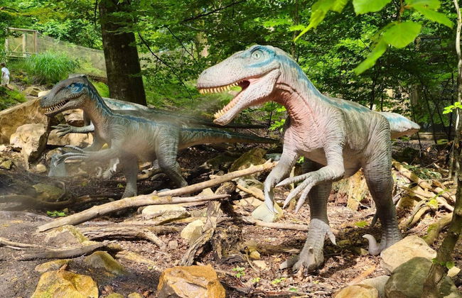 Holiday Home With Swimming Pool - Foto 5