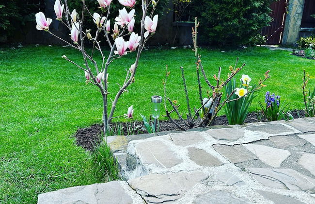 Casa Ador Sinaia - Foto 31