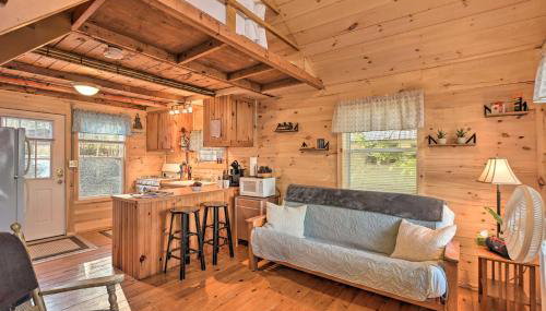 Pet-Friendly Ellsworth Cottage on Branch Lake - Foto 2