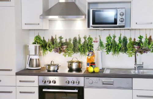 Kinder-Ferienhof Burmann - Foto 22