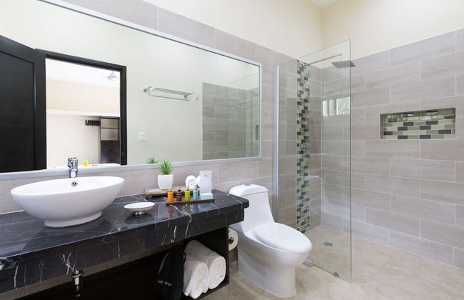 Meso Maya - Photo 44