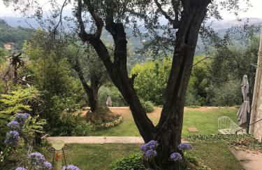 Dieu L'Amour - Molinard - Foto 23