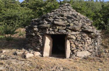 El Cerrillo - Foto 36