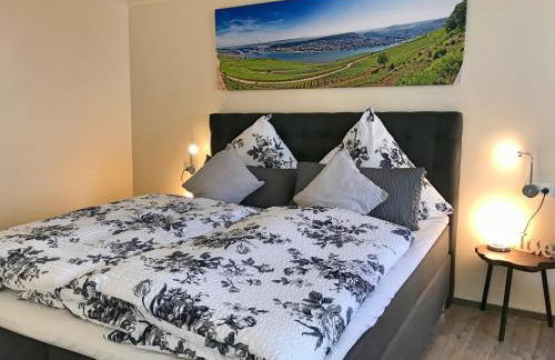 Fewo Zur Goldenen Traube - Foto 19