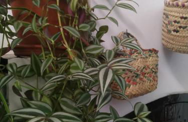 Casa Museo Quintín - Foto 6