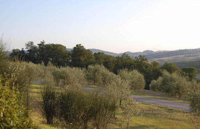 Verdidea - SANTO STEFANO - Foto 35