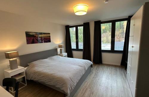 NEU - Villa Brachfeld - Penthouse und Ferienwohnung, Tor zum Nationalpark Eifel - Photo 4