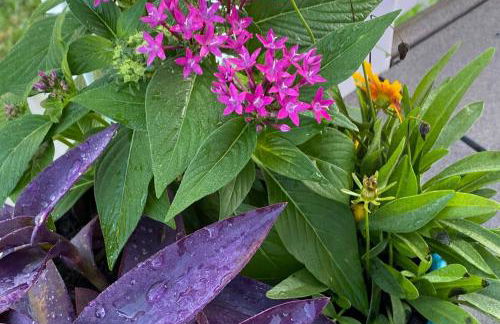 Waterfront Home Just Minutes To Beach - Photo 20