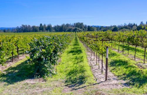 Moore Family Farmhouse - Wine Tastings Included - Foto 30