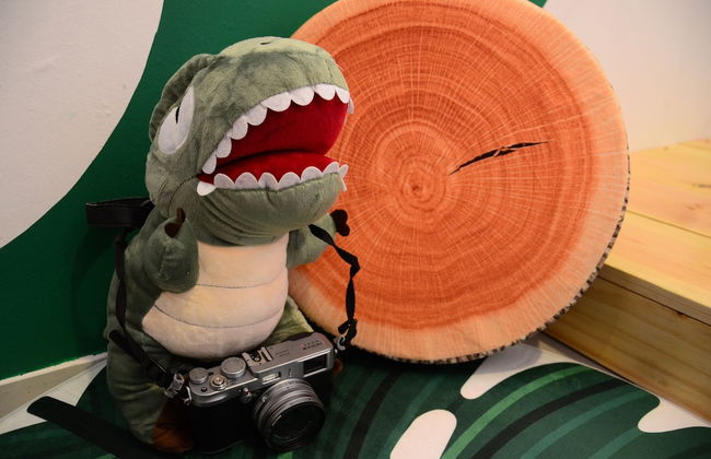 The Woodz Thematic Homestay - Photo 32