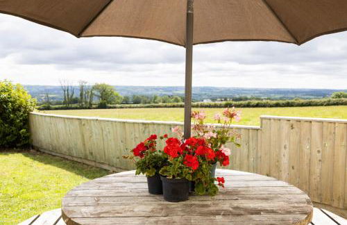 Bryniago Whitland - Foto 21