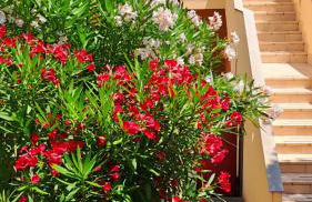 Casa di Marco Independent apartment with spectacular view - Foto 13