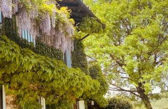 Cascina Burroni - Foto 49