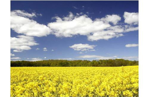 Haus Schleitraum - Foto 36