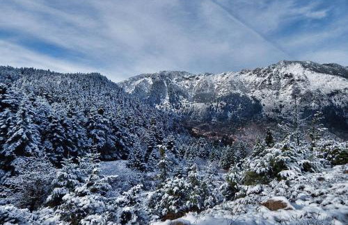 Cave Chalet Parnassos - Foto 30