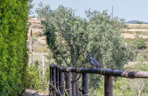 Gorgeous Home In Giarratana - Foto 25