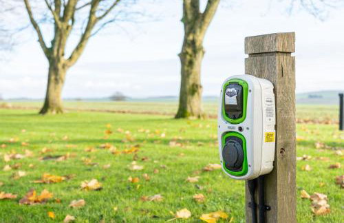 2 Pheasant - Photo 31