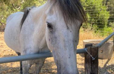 AGROTOPIA Guesthouses - Foto 61