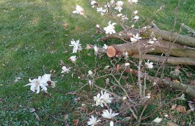 Haus Maria - Foto 26