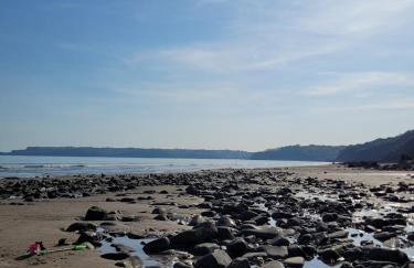 Milking Shed Cottage - Foto 40